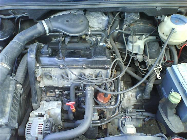 VW golf 3  (solgt) - her har vi så den syge makrel;) billede 10