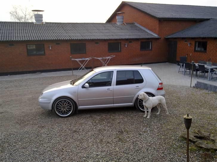 VW Golf 1,9 TDI com/highline (tidl. bil) billede 1