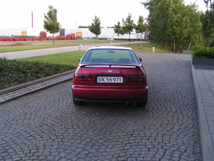 Honda civic (SOLGT) billede 10