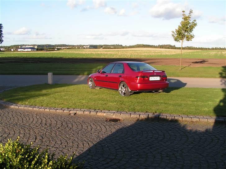 Honda civic (SOLGT) billede 13