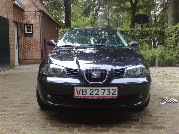Seat Ibiza (solgt) - Krom-fronten pynter billede 12
