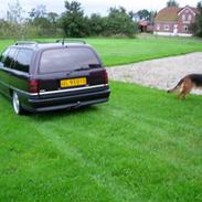 Opel omega caravan stc car