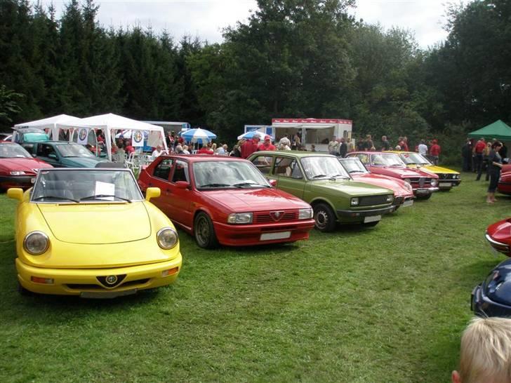 Alfa Romeo 33 billede 13