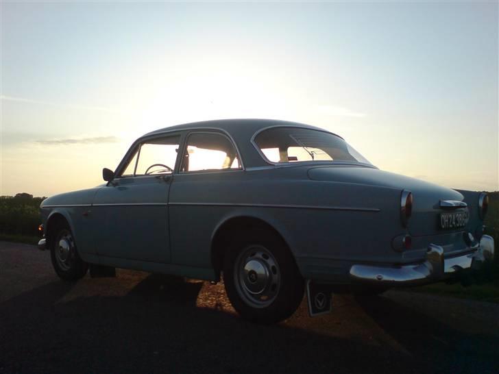 Volvo 121 Amazon - Amazon i aftensol.. smukt! billede 4