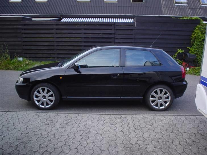 Audi A3 Champen's Bil billede 1