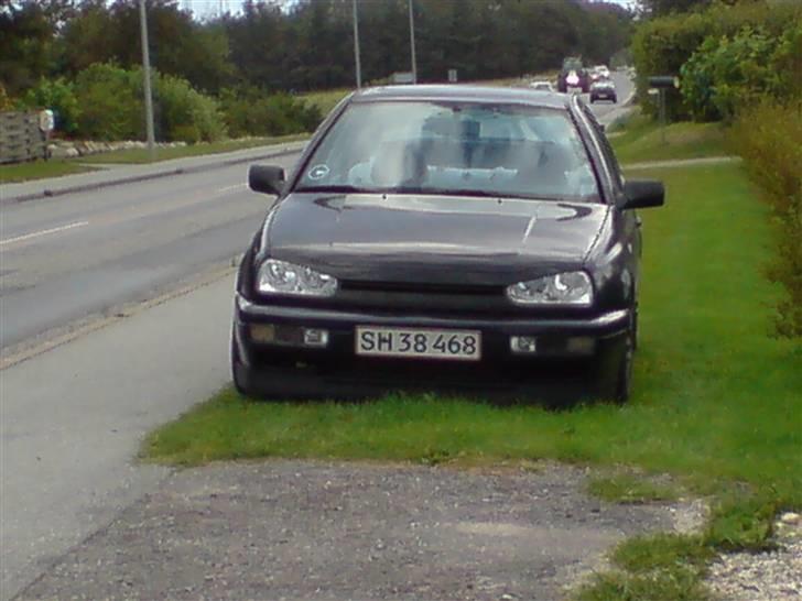 VW SOLGT - efter gevind hun er hen nede på maven nu billede 14