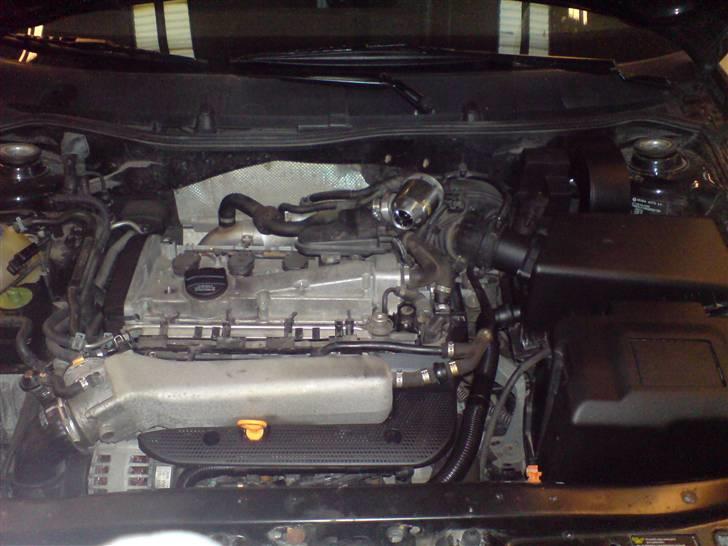 Skoda octavia BSR r.i.p billede 5