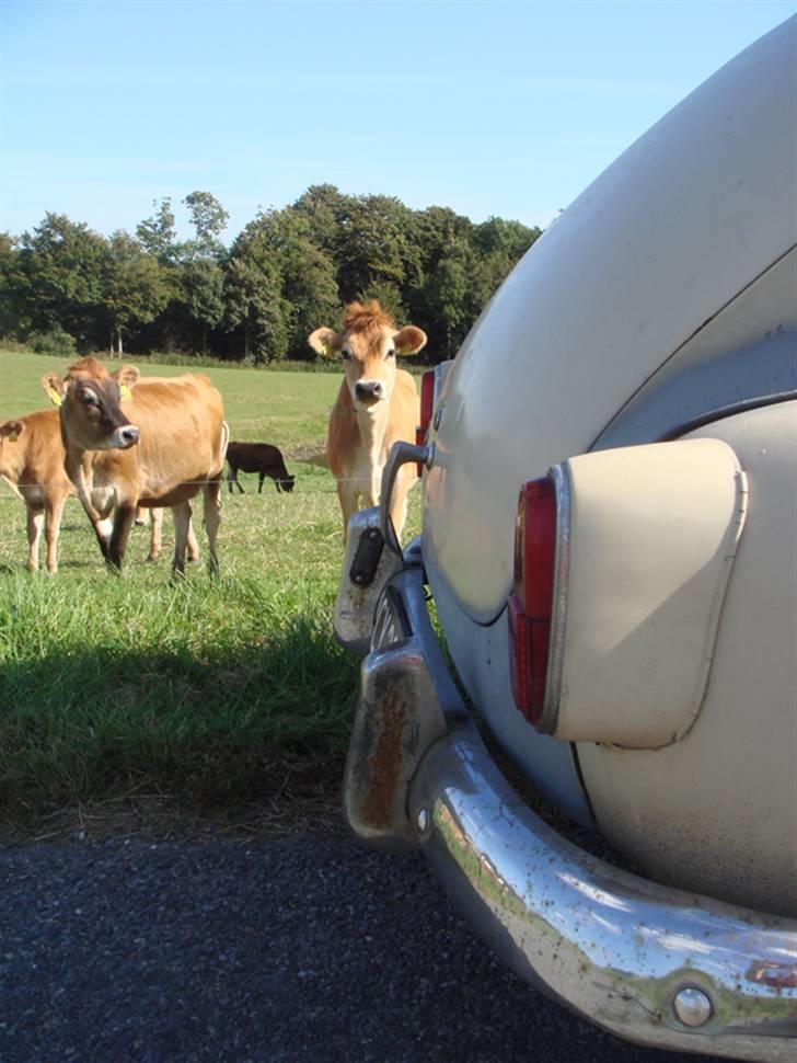 Volvo 544 SII billede 5