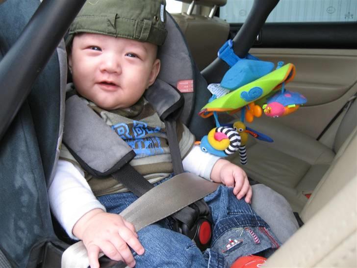 VW bora st. car(solgt) - sønnike i læder stuen billede 13