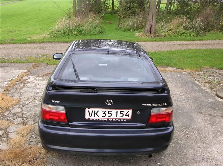 Toyota corolla champ billede 18