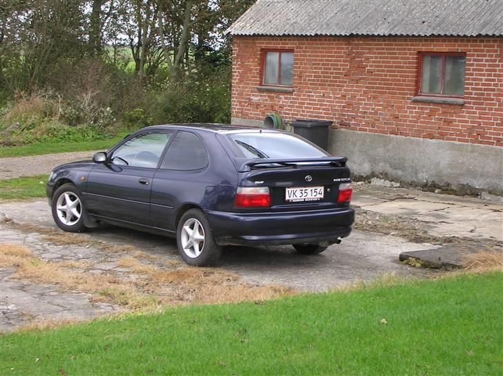 Toyota corolla champ billede 19