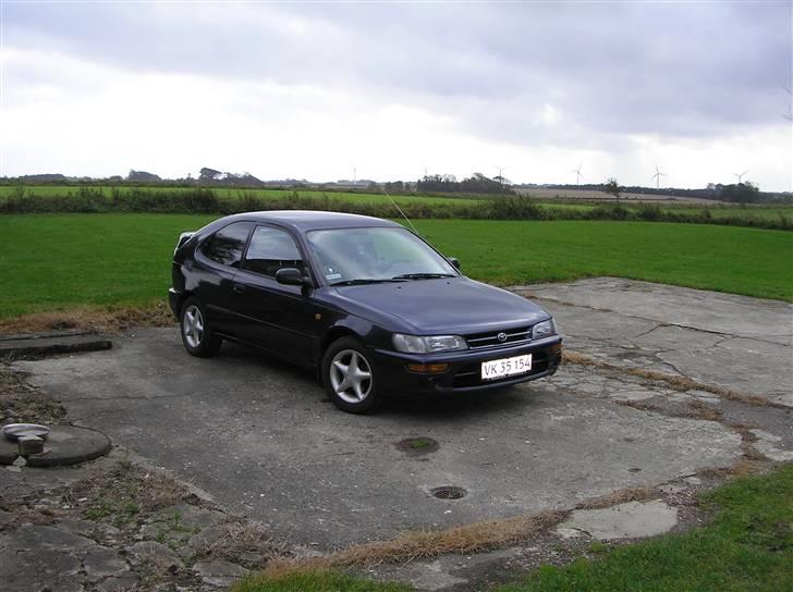 Toyota corolla champ billede 20