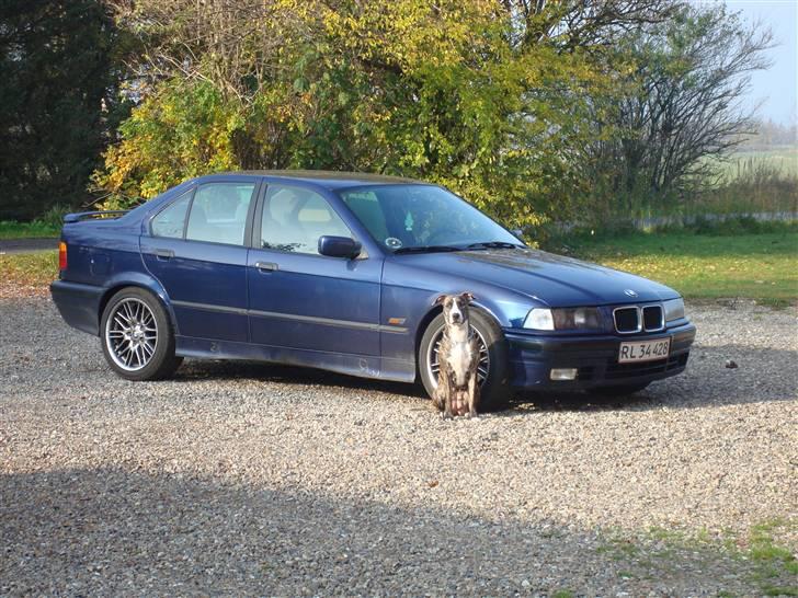 BMW 325i E36 - SOLGT- billede 1