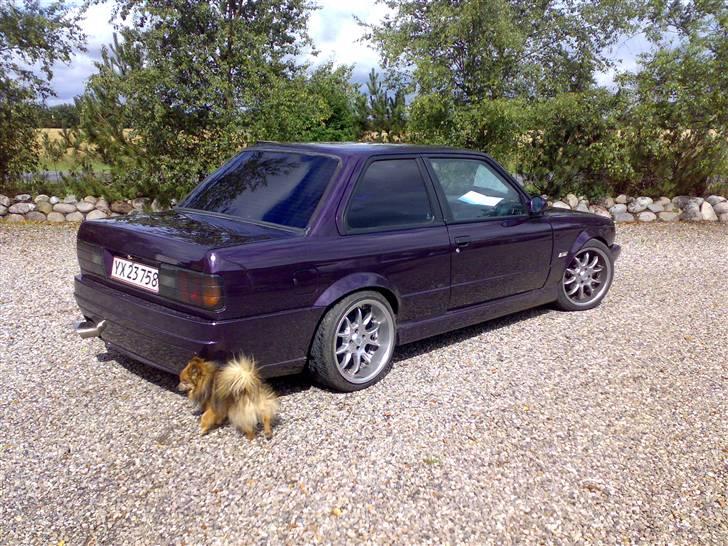 BMW E30 325i SOLGT billede 3