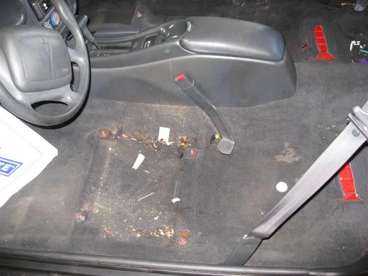 Pontiac Firebird - Billeder fra før rengøringen begyndte:P Der ligger mange sjove ting under et sæde:D billede 6