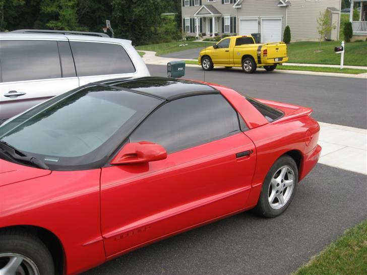 Pontiac Firebird - I skal da også have lidt billeder med taget på:P så man kommer til at tro det ikke regner herovre:) hehe billede 13
