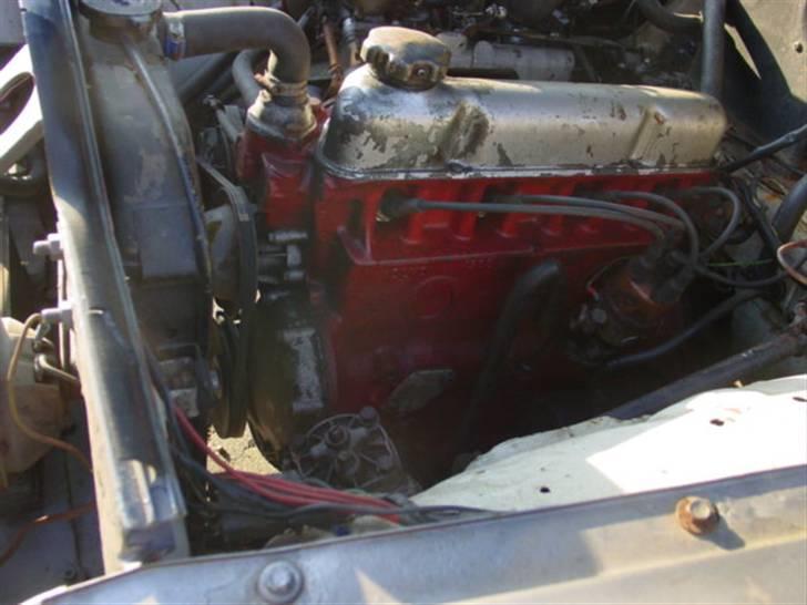 Volvo Amazon Rally billede 7