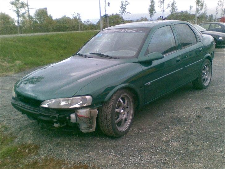 Opel Vectra B CDX Turbo - Vinyl på bakruta billede 12