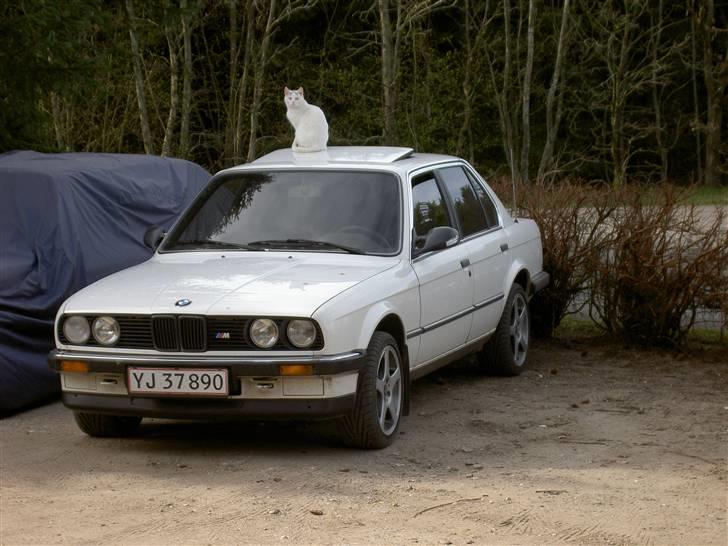 BMW E30 324 D billede 2