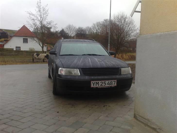 VW Passat v tdi 3b SOLGT - Indvendig i polo`n billede 16