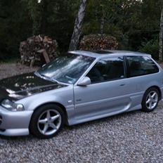 Honda Civic // SOLGT !