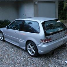 Honda Civic // SOLGT !