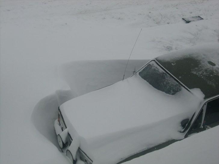 Volvo 142 - Frem med skovlen...igen. billede 15
