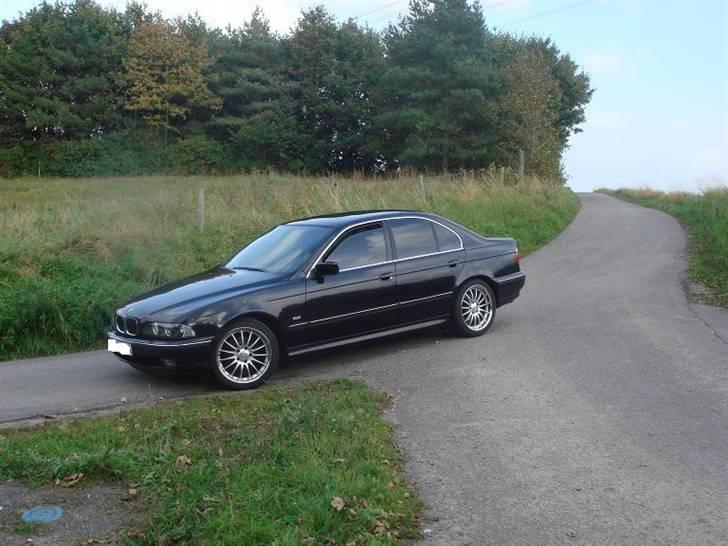 BMW 523i E39 STILREN billede 5