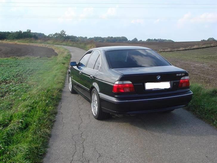 BMW 523i E39 STILREN billede 16