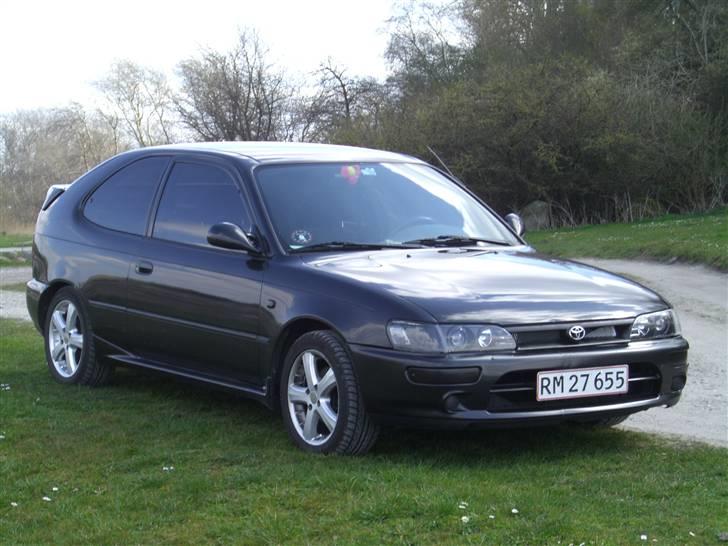 Toyota Corolla "Koala'en" *DØD* billede 1