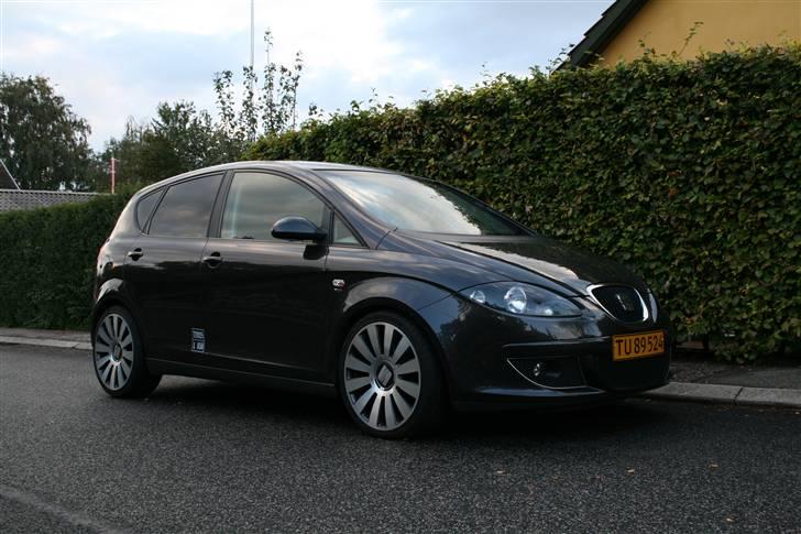 Seat Altea billede 1