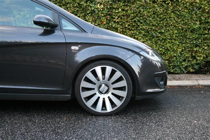 Seat Altea billede 2