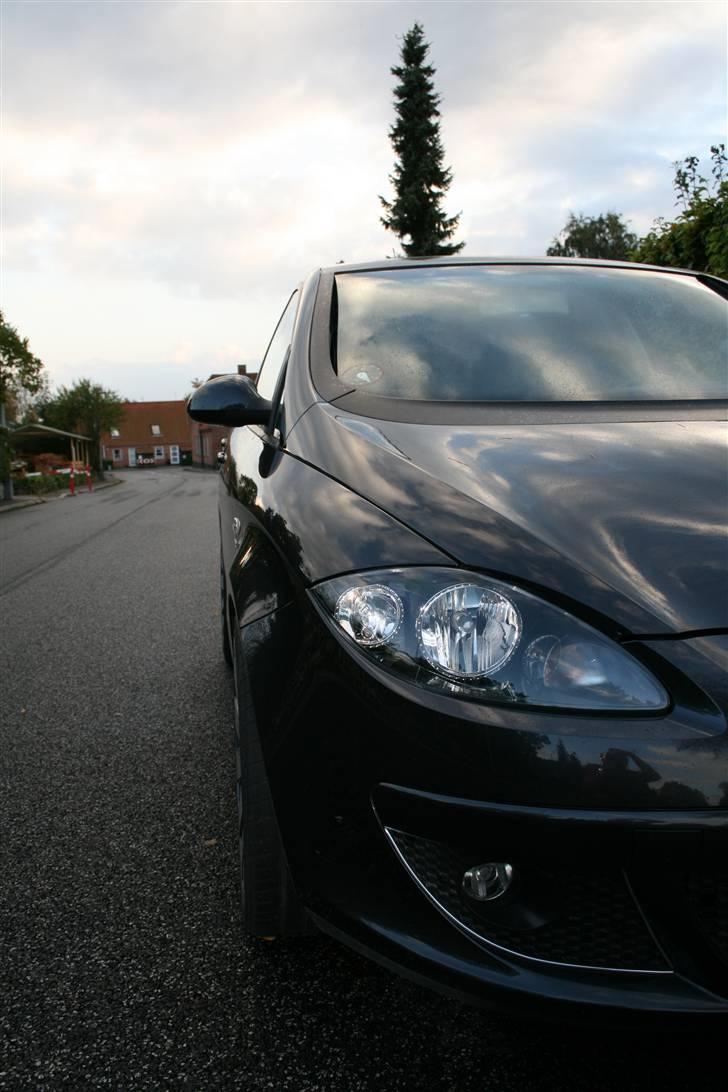 Seat Altea billede 5