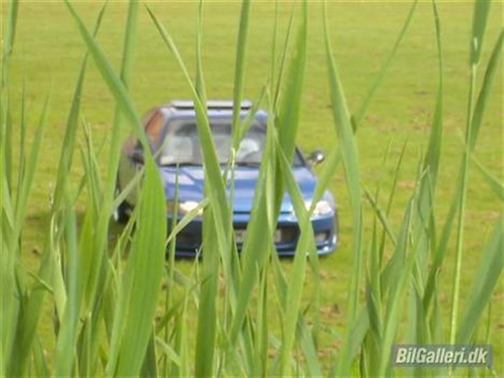 Honda Civic Vtec-E Totalskadet* billede 6