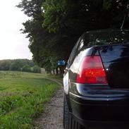VW Bora V5