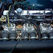 Triumph TR5 PI OD LHD