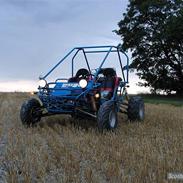 Texas buggy 250cc (solgt )