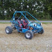 Texas buggy 250cc (solgt )