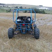 Texas buggy 250cc (solgt )