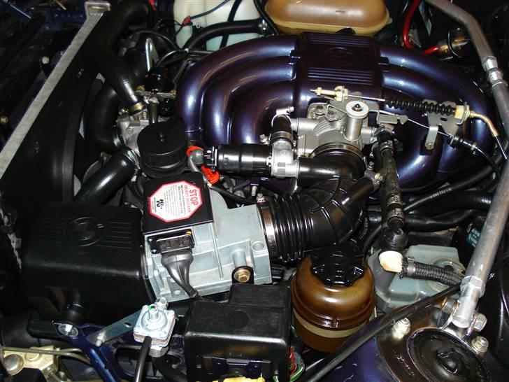 BMW e30 alpina nr 80 cab billede 3