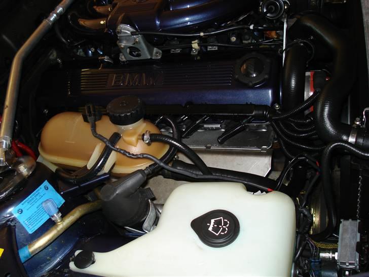 BMW e30 alpina nr 80 cab billede 6