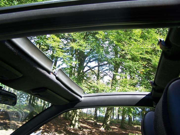 Rover 220 Tomcat væk billede 7