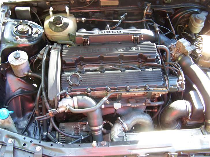 Rover 220 Tomcat væk billede 11