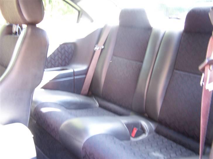 Rover 220 Tomcat væk billede 19