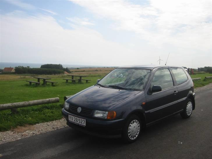 VW Polo 6N (SOLGT) billede 1