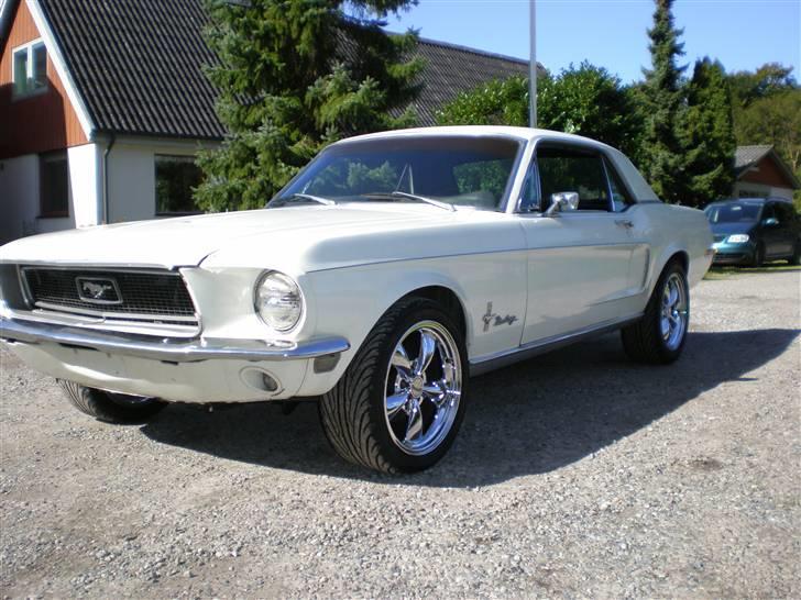 Ford Mustang HT --SOLGT-- billede 1