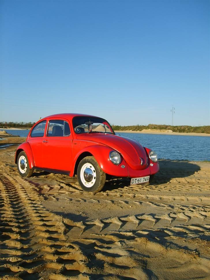 VW Bobbel (Solgt)  billede 2