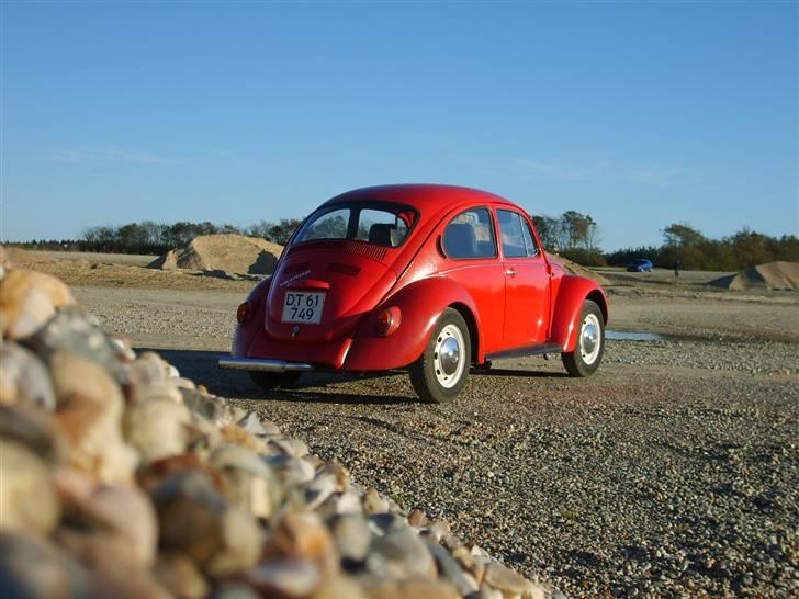 VW Bobbel (Solgt)  billede 3