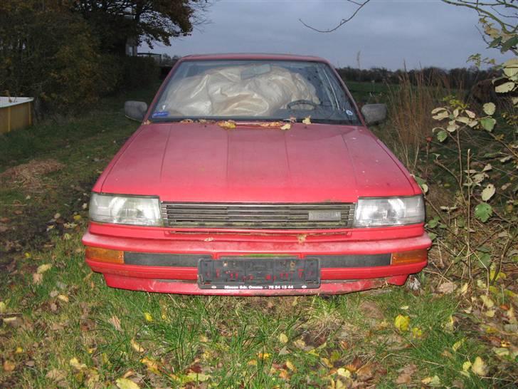 Nissan bluebird  billede 2