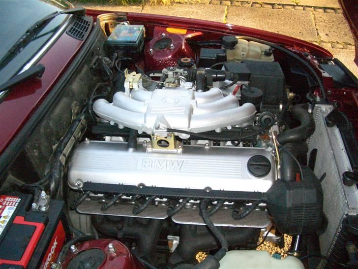 BMW 320I cab "nye billeder" - køre klar kører som en drøm ingen mislyde el. tikken fra ventiller billede 20